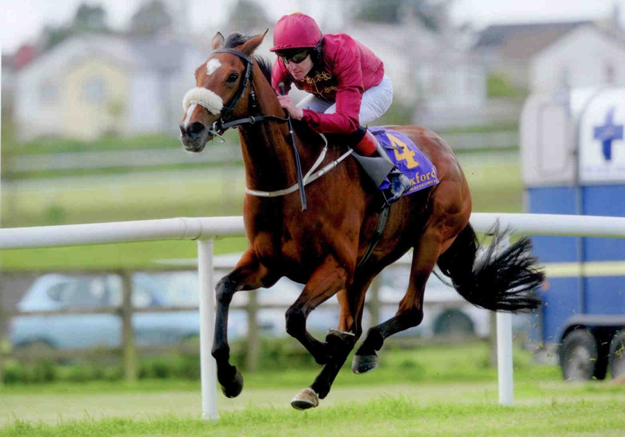 Roheryn Wexford Sat 10th May